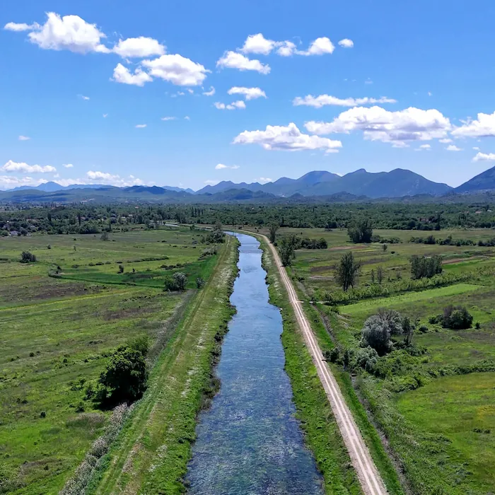 Mirla lokacija photo